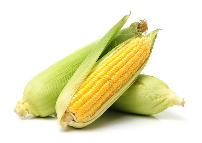 Corn cob (each)