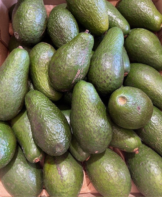 Avocado (each)