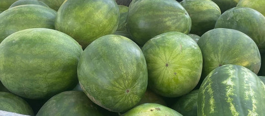 Watermelon, seedless (whole)