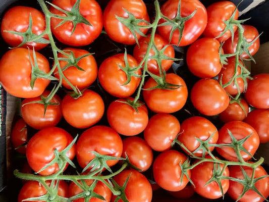 Tomatoes, vine (per kg)