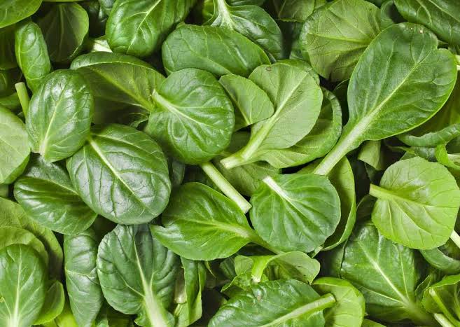 Spinach, baby (per 100g)