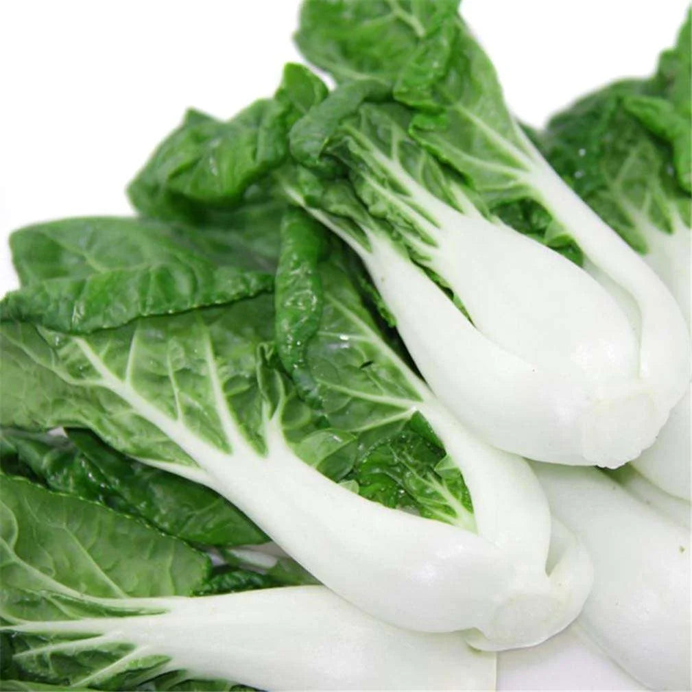 Bok Choy (2 bunch)