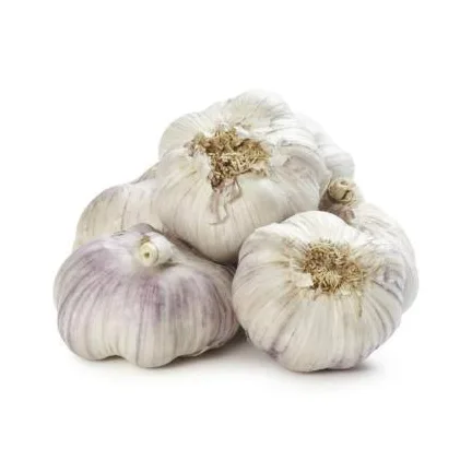 Garlic (each)