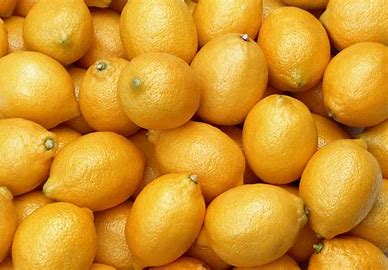 Lemons (each)