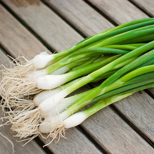 Spring onion (bunch)