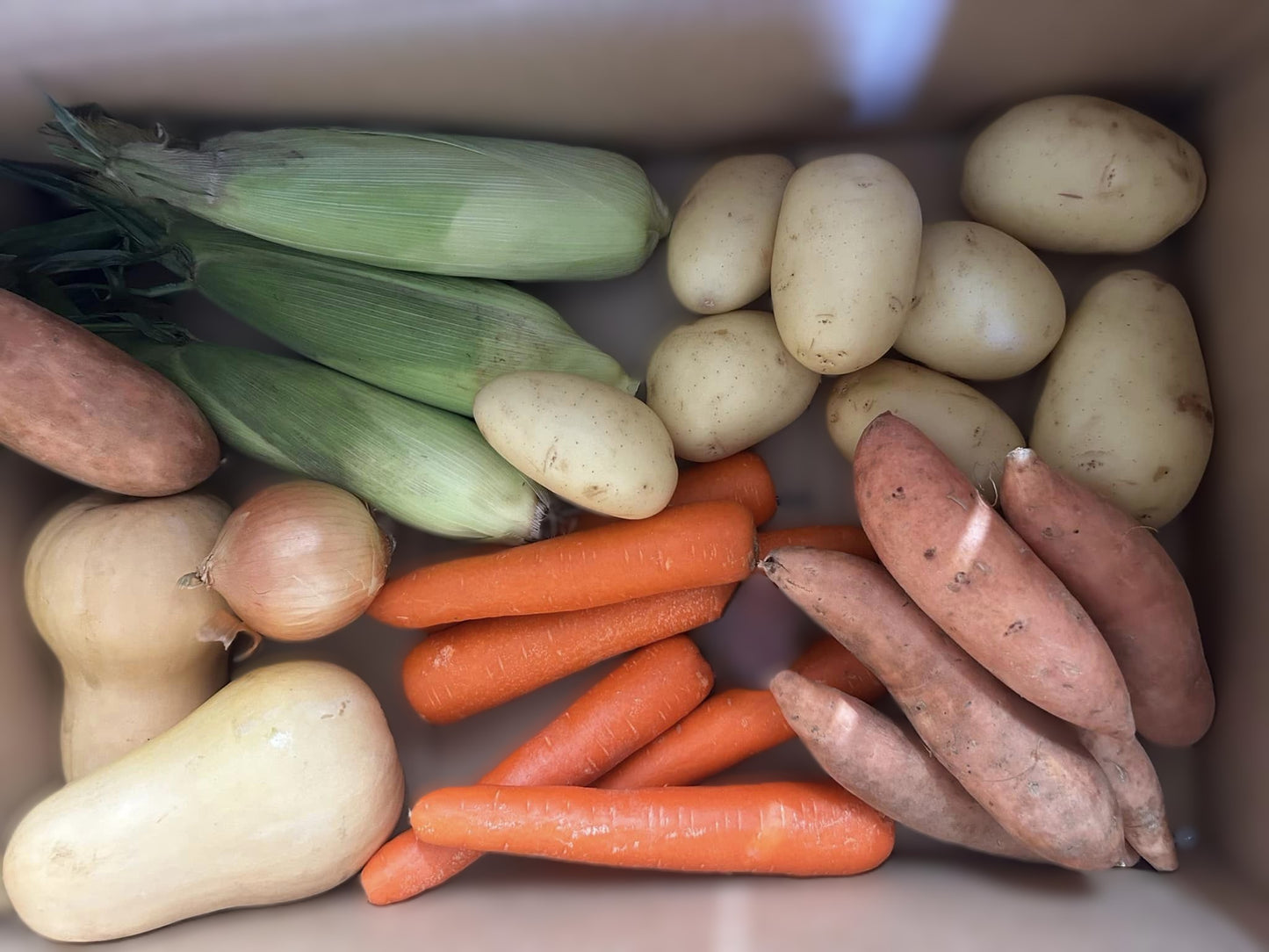 Roast vegetable box