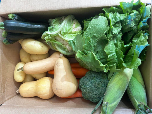 Vegetable Box B
