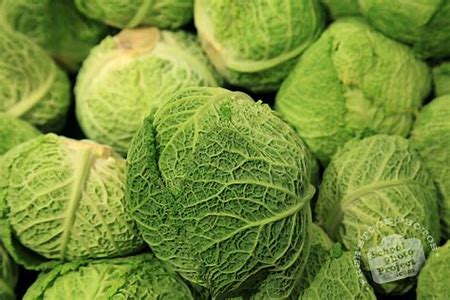 Cabbage, green (large whole)