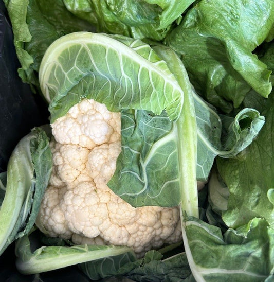 Cauliflower (whole)