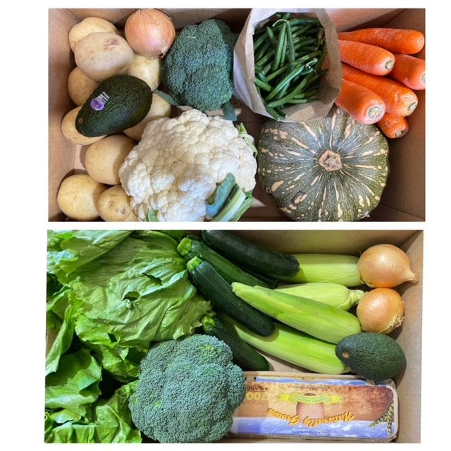 Vegetable box - large