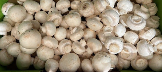 Mushrooms (per 250g)