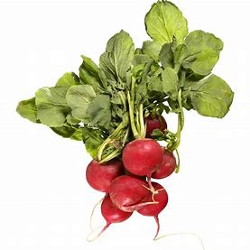 Radish (bunch)