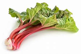 Rhubarb (bunch)