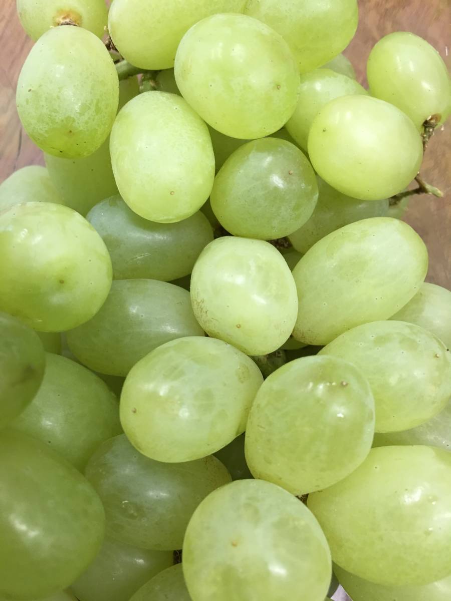 Grapes, seedless (per bag)