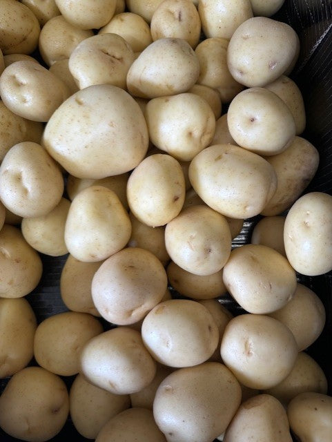 Potatoes, washed (per kg)